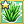 Aloe Vera Mastery 1
