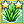 Aloe Vera Mastery 2