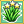 Aloe Vera Mastery 3