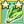 Bokchoy Mastery 2