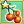 Cherry Tomato Mastery 1