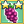Concord Grape Mastery 2