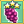 Concord Grape Mastery 3