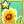 Sunflower Mastery 1