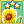Sunflower Mastery 3