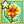 Marigold Mastery 1