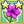 Petunia Mastery 2