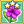 Petunia Mastery 3
