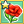 Red Poppy Mastery 1