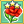 Red Poppy Mastery 3