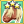 Shetland Pony Mastery 3