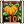 Squash Sower