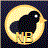 Bare Beak Expert